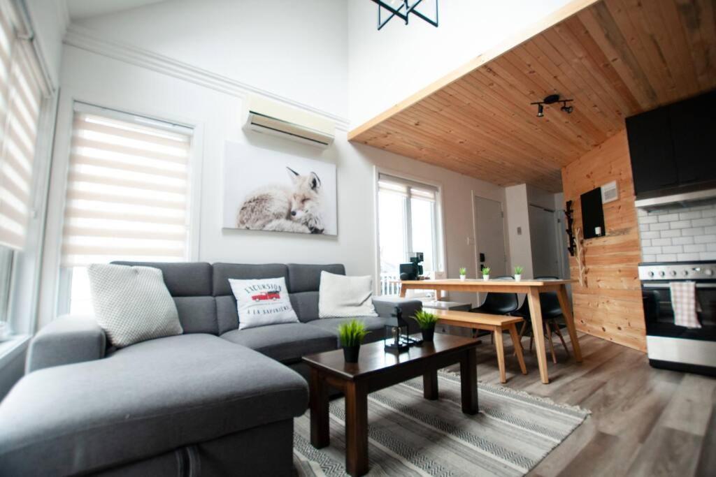 Apartment L'everest Ski, Rando & Velo Mont Sainte-anne Beaupre