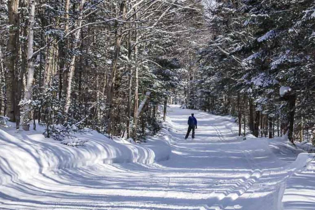 Appartement L'everest Ski, Rando & Velo Mont Sainte-anne Beaupré