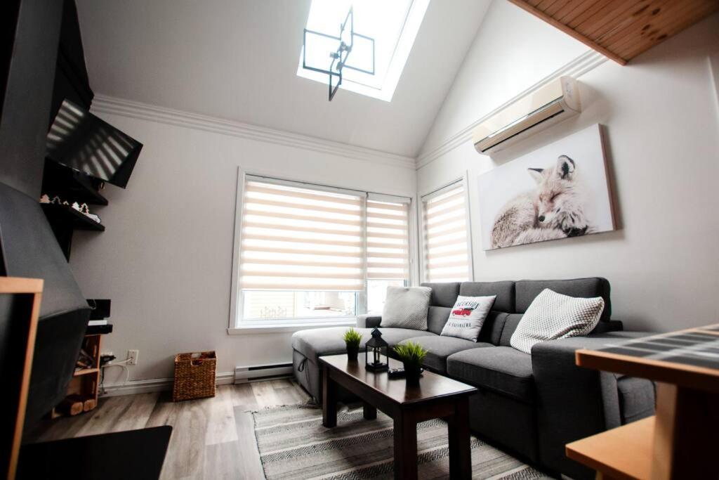 L'everest Ski, Rando & Velo Mont Sainte-anne Apartment *